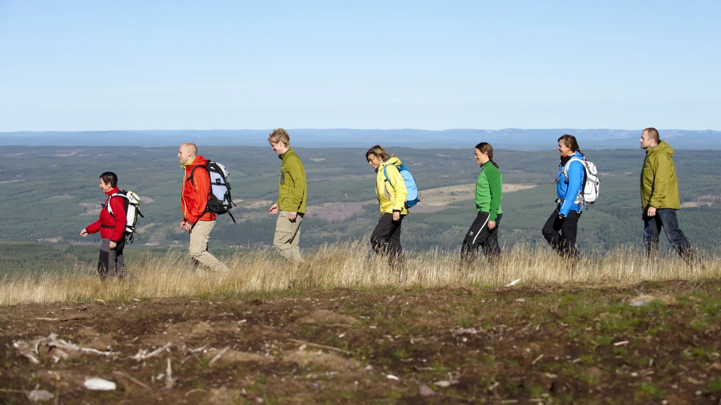 Sju personer på en lång rad som är ute och vandrar på fjället.