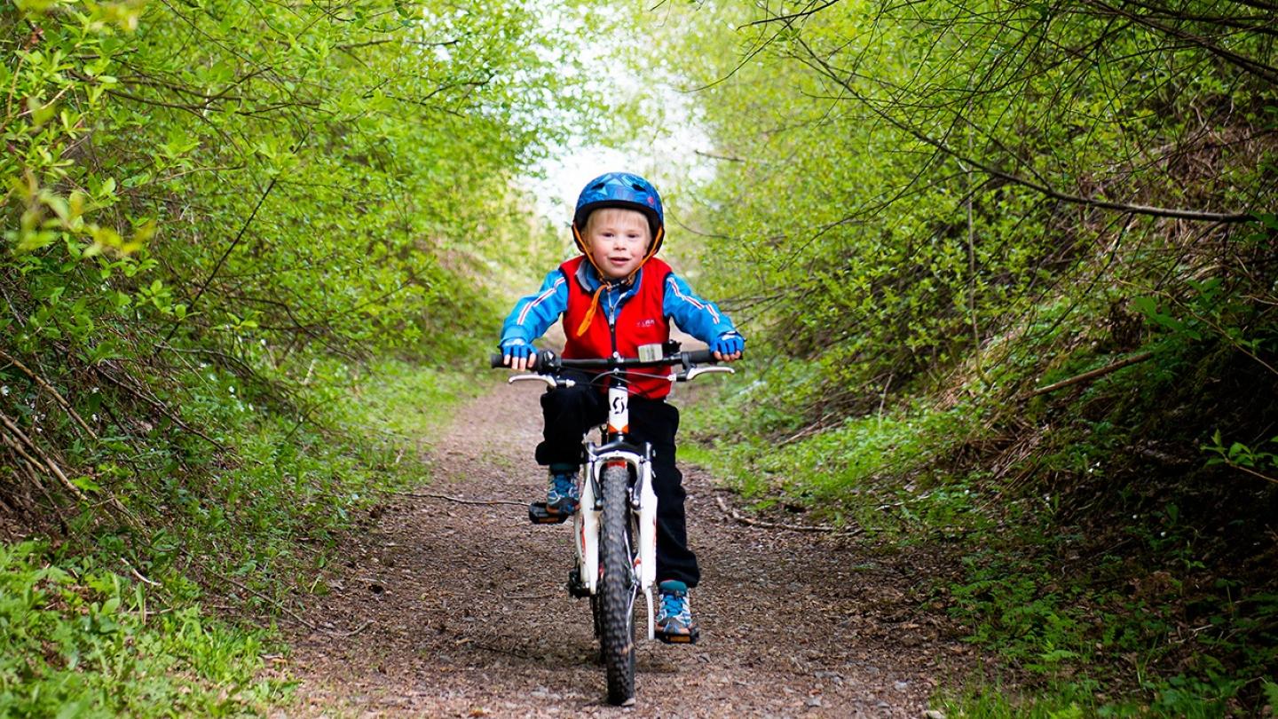 Barn som cyklar längs en skogsstig.