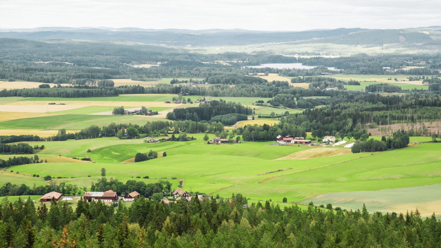 Gröna åkrar över Säters kommun.