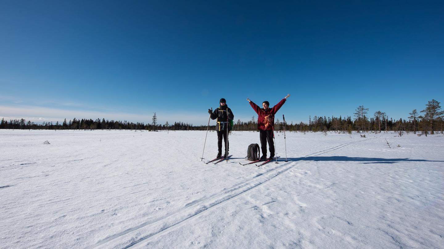 Two persons doing some cross country skiing.