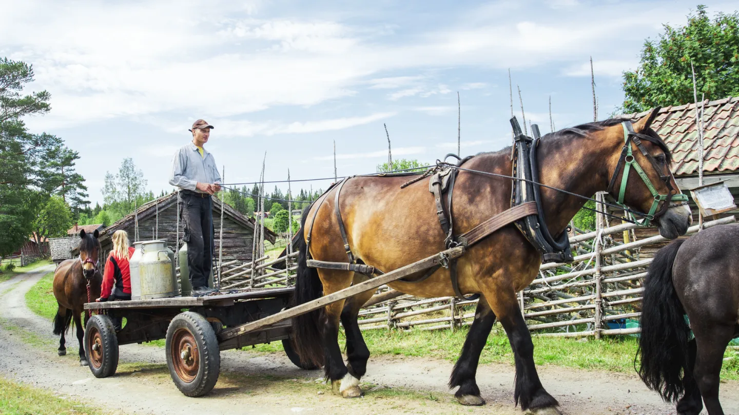 Häst och vagn.