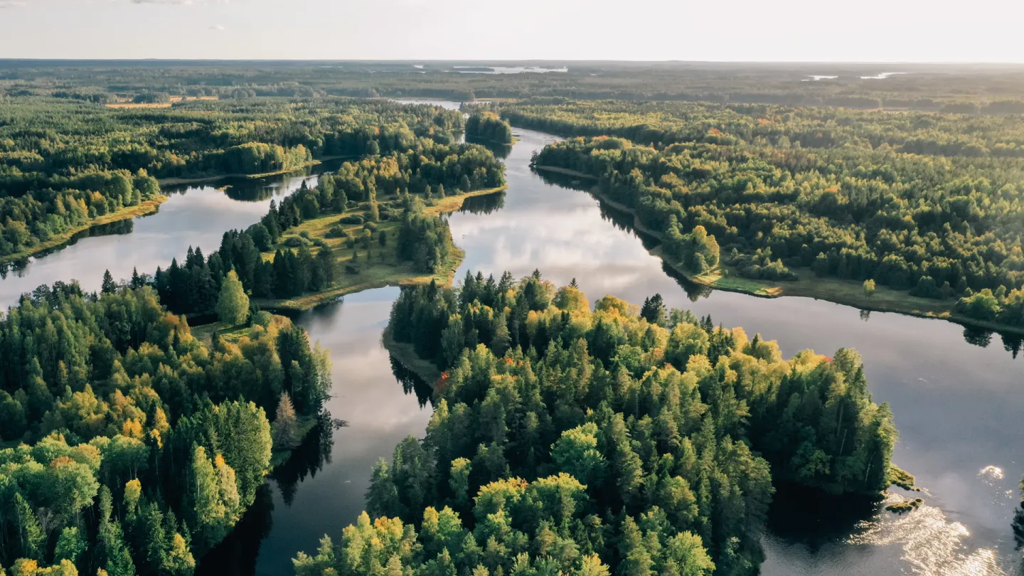 Vy över Dalälven.