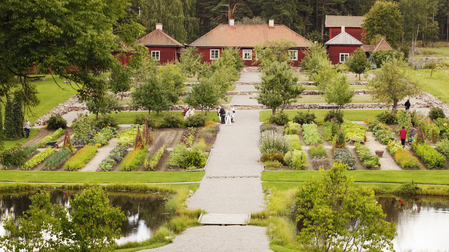 Gamla stabergs trädgård.