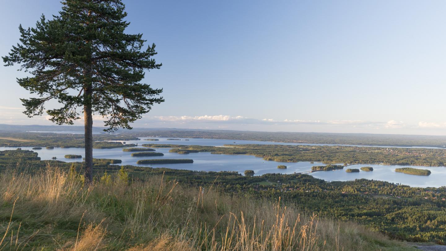 Underbar utsikt över Sollerön från Gesundaberget.