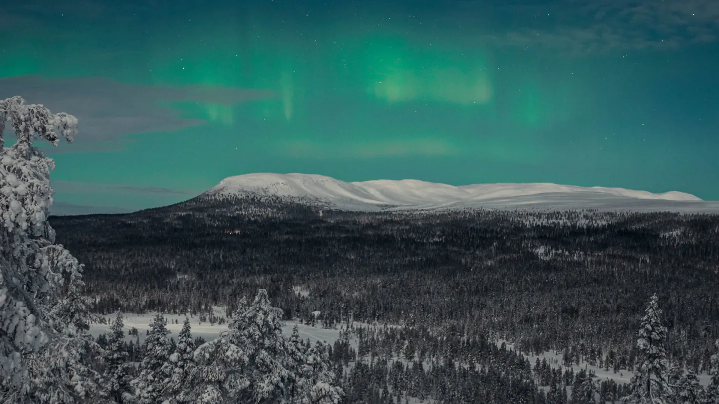 Norrsken över Nipfjället.