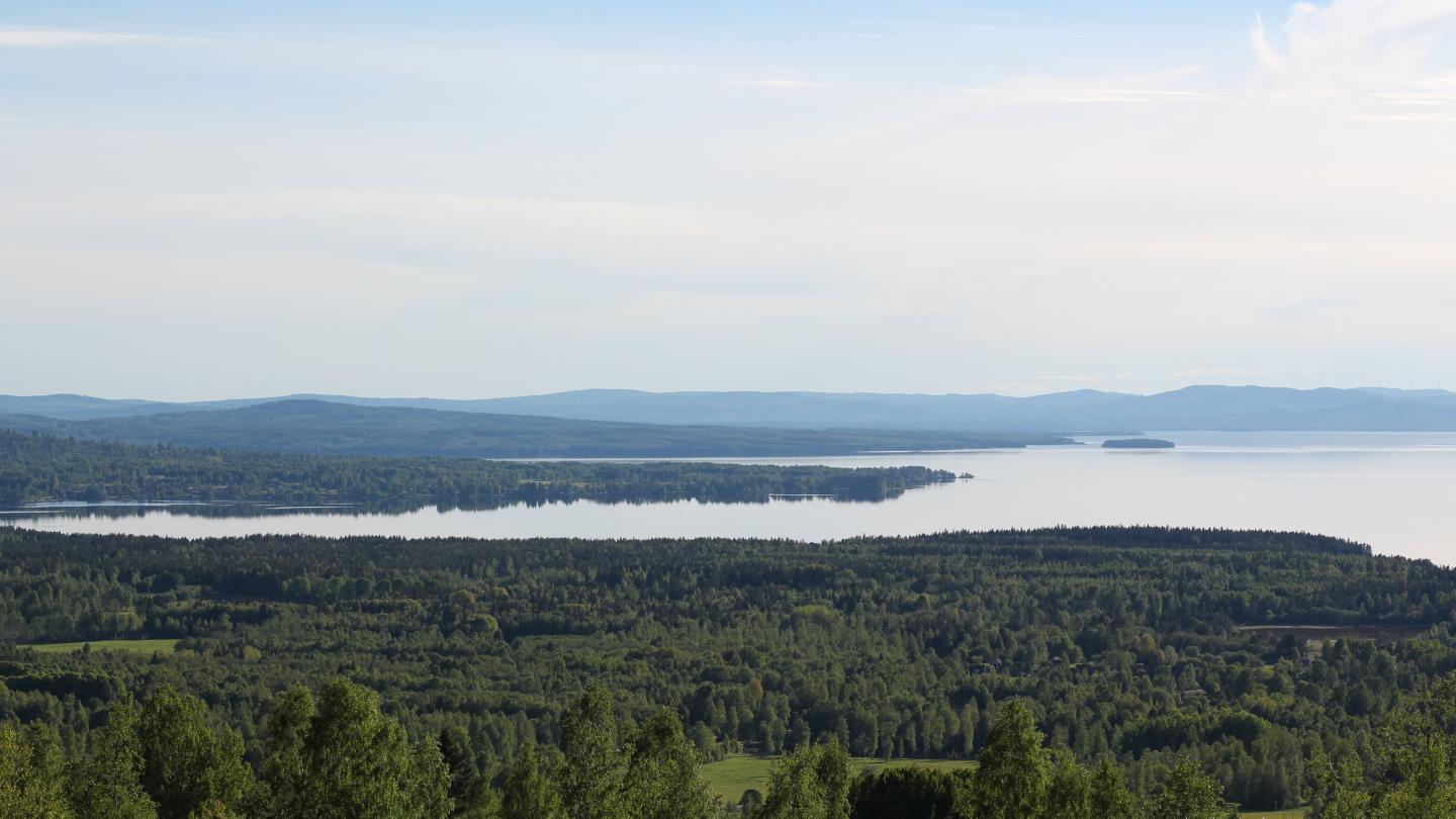 Vy över sjön Siljan och dess natur runt om.