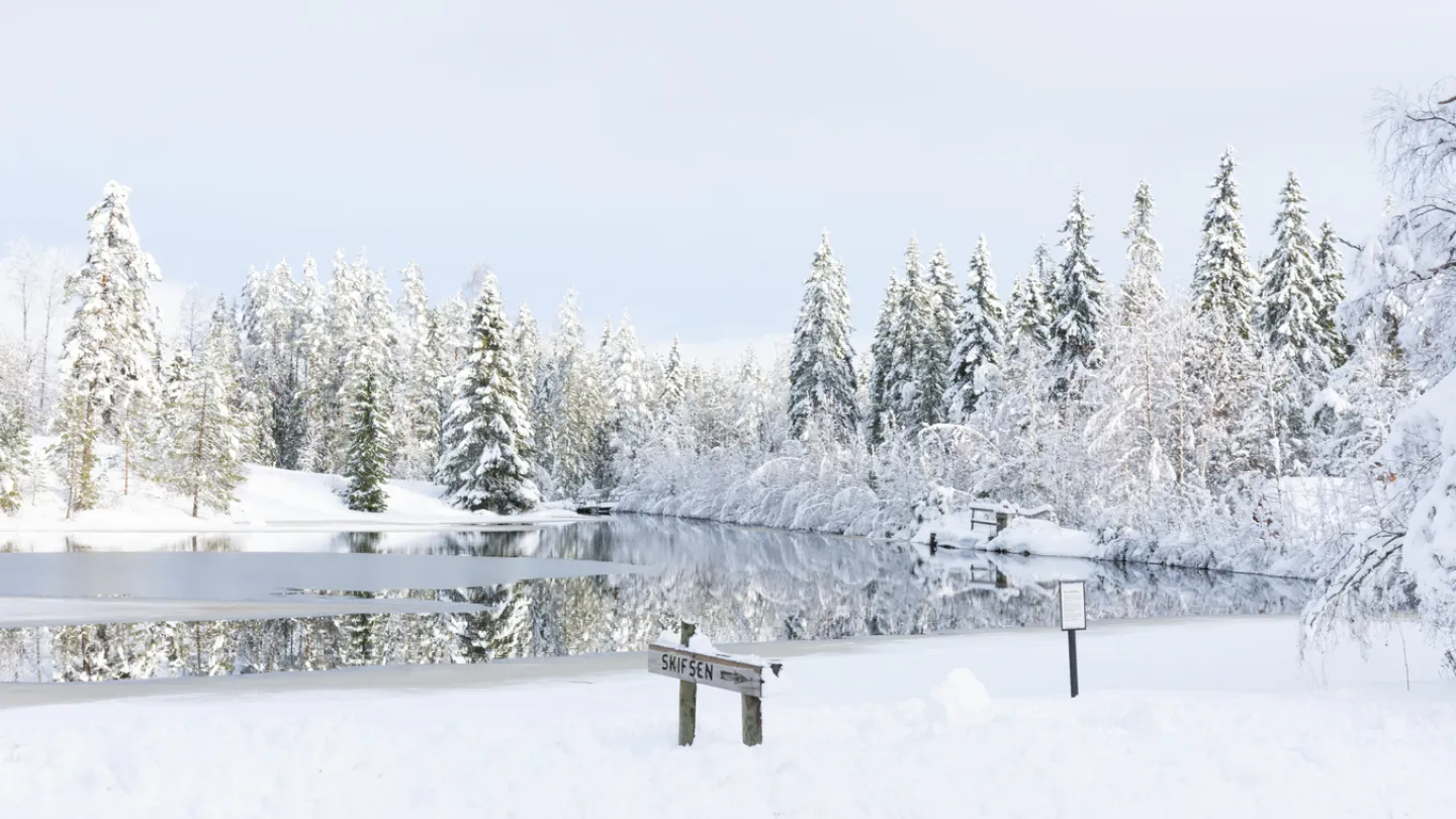 Vinterlandskap i Ludvika.