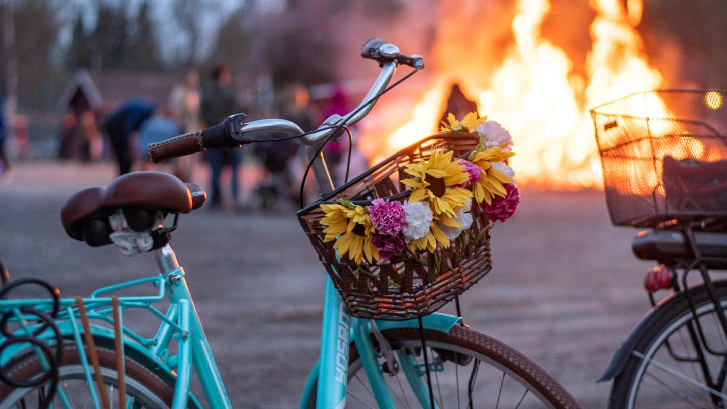 En cykel med korg med blommor i vid en majbrasa.