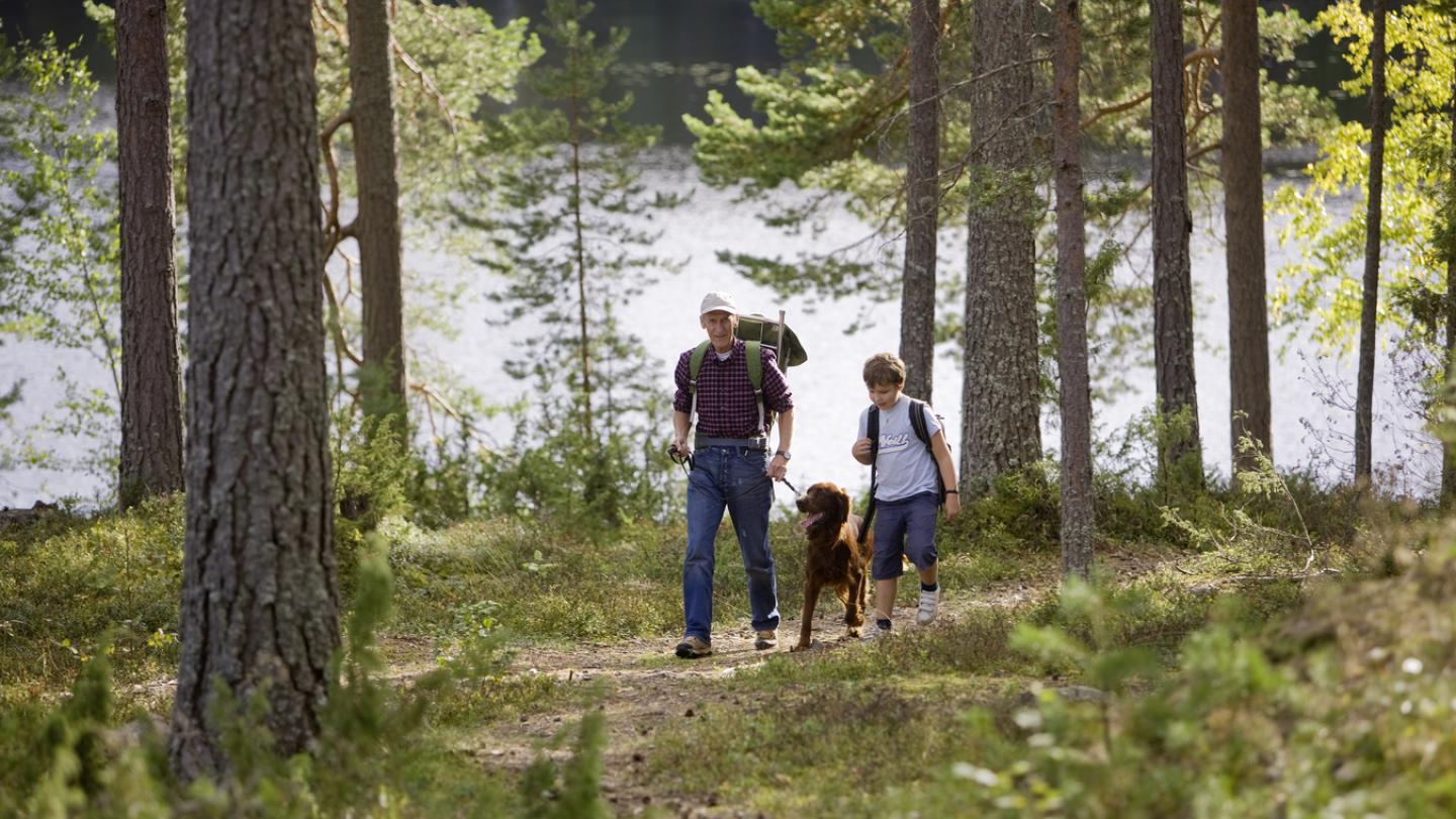 Far och son med hund vandrar i skogen.