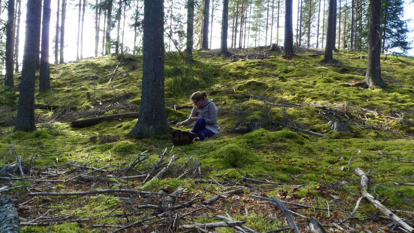 En person som sitter och vilar i skogen.