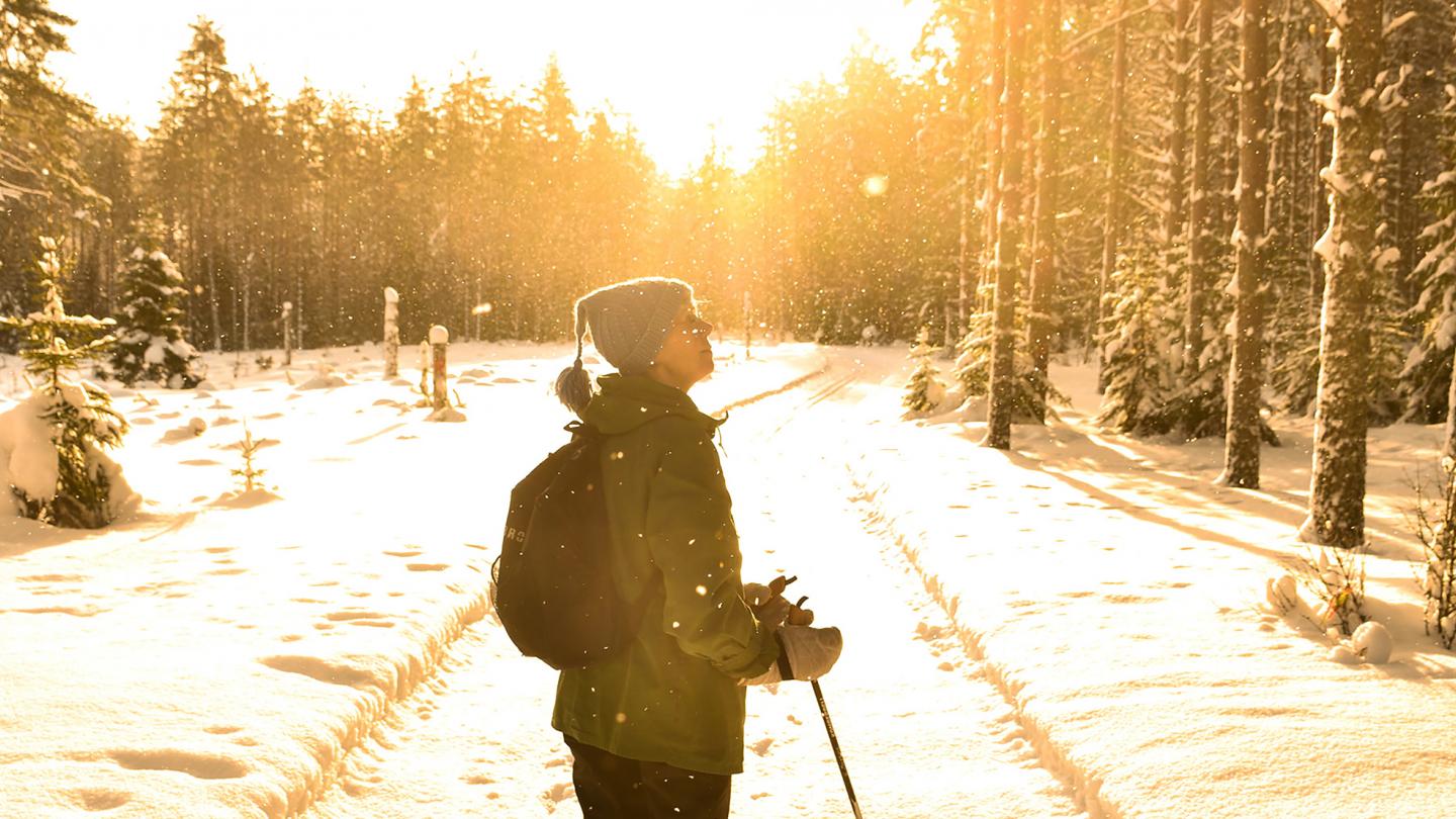 En person på skidor står i ett spår i motljus.