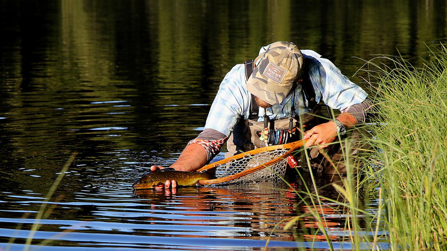 En man håller en fisk vid vattenytan.