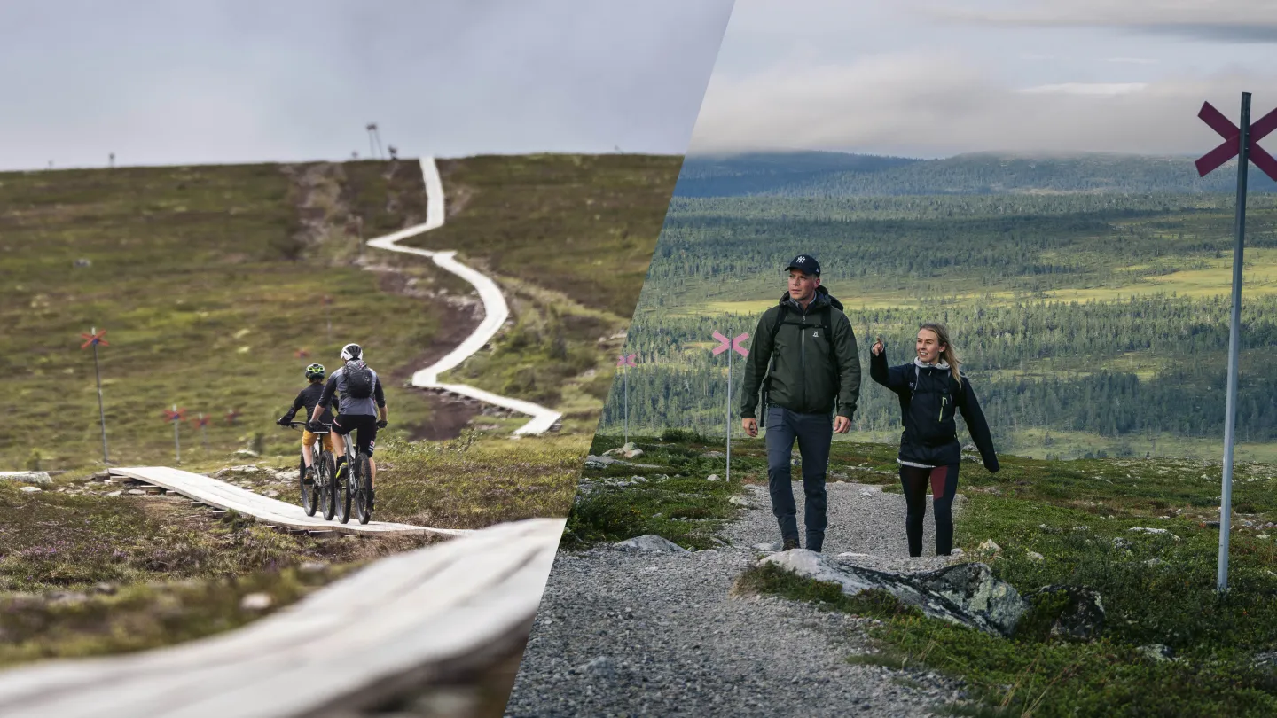 Bildkollage på cyklare och vandrare.