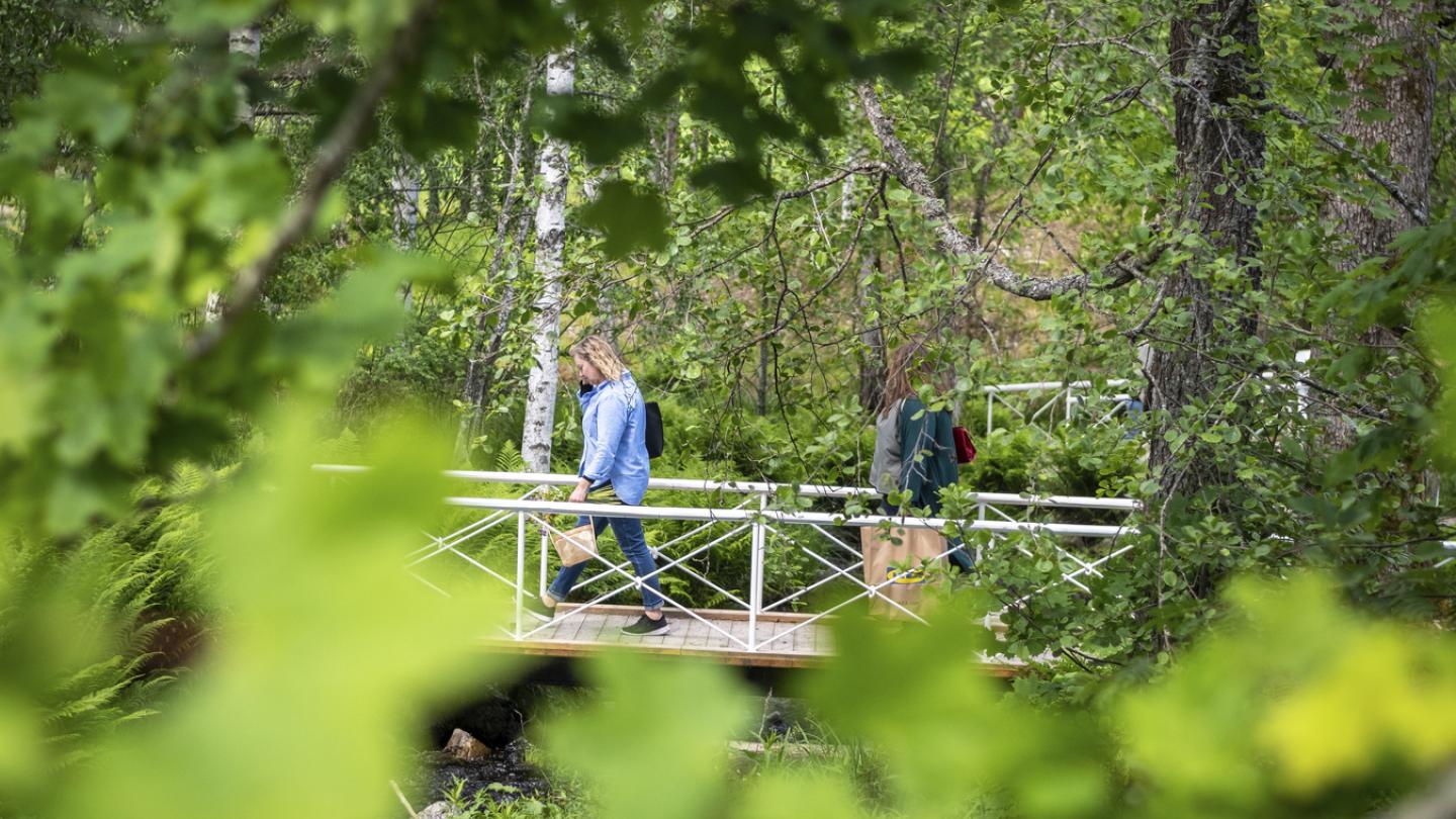 Två vandrare på en bro i natur.