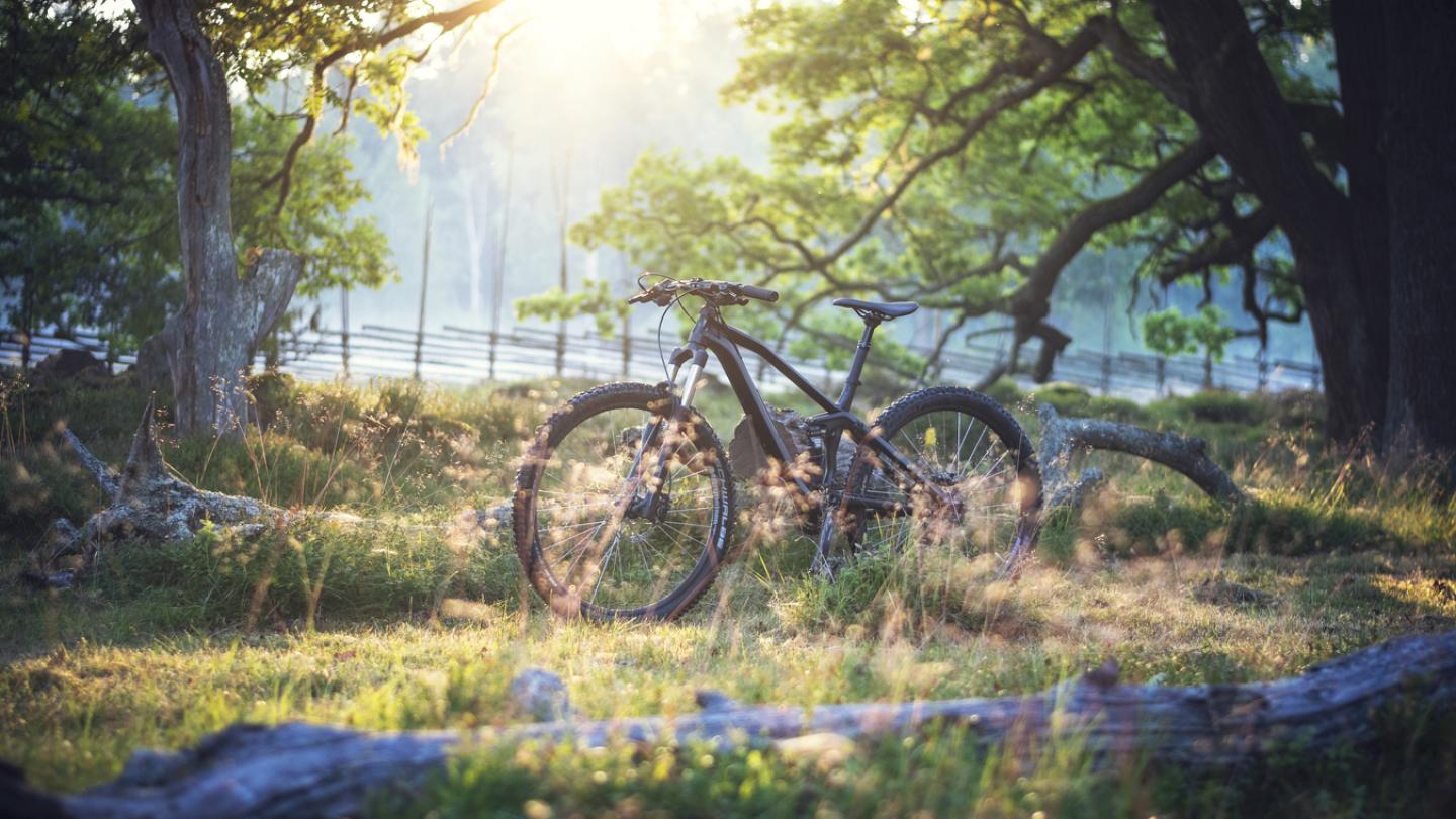 Cykel som står i en skog.