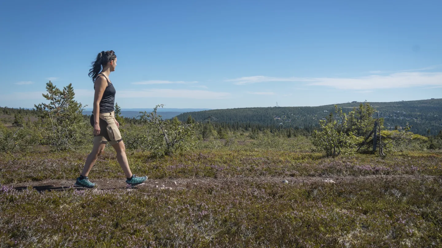 En kvinna som går på en vandringsled i Sälen.
