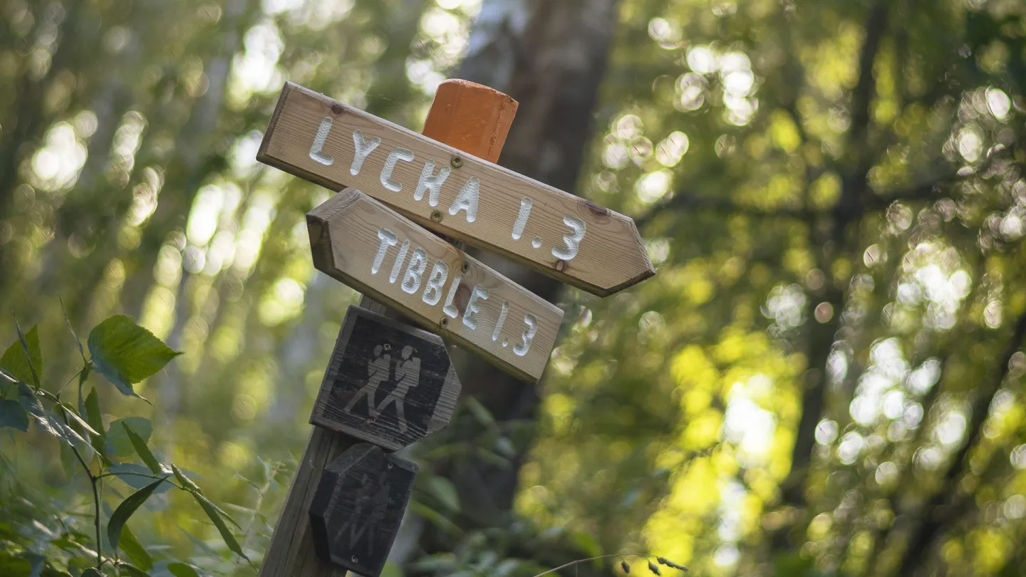 Trail sign.