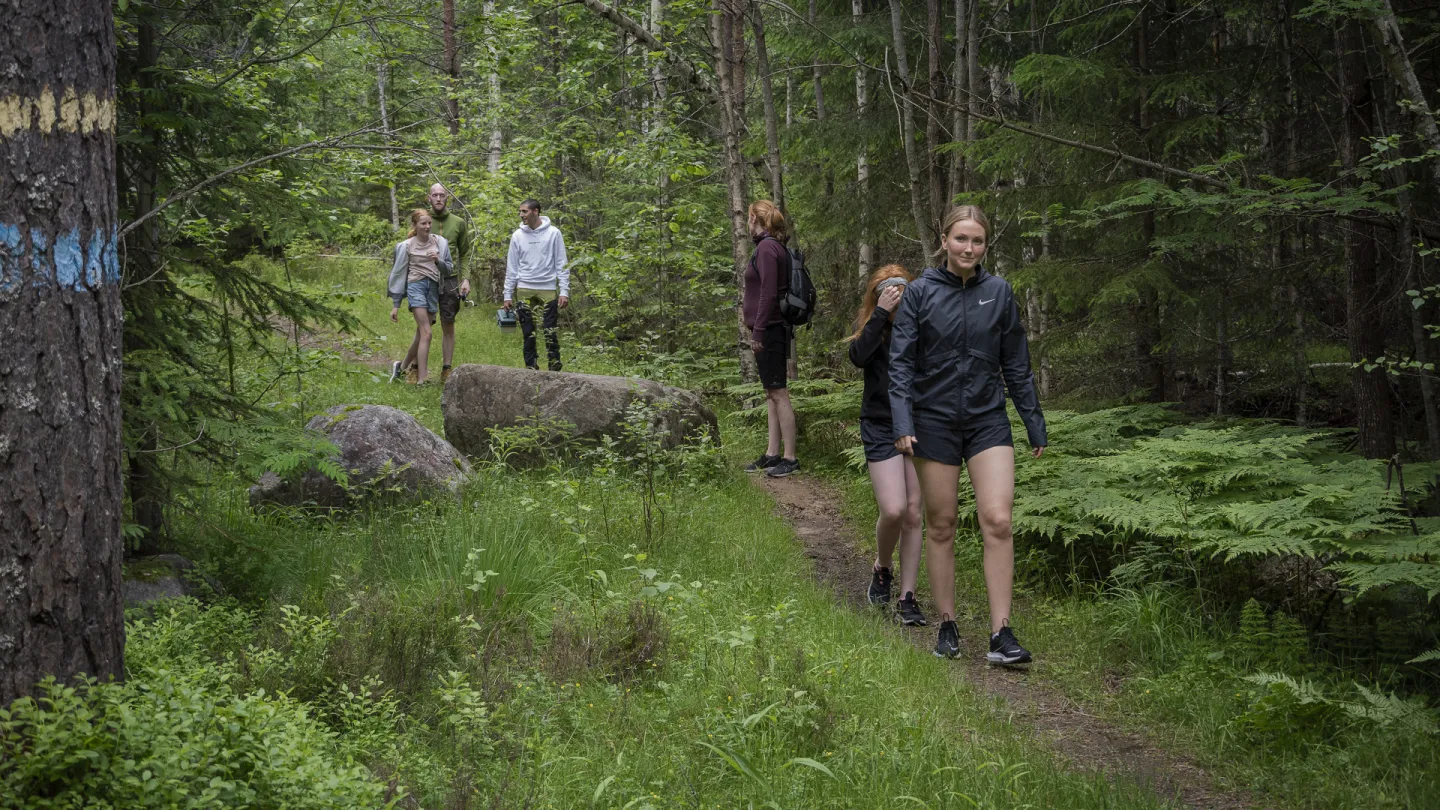 Folk som vandrar på en led i skogen.