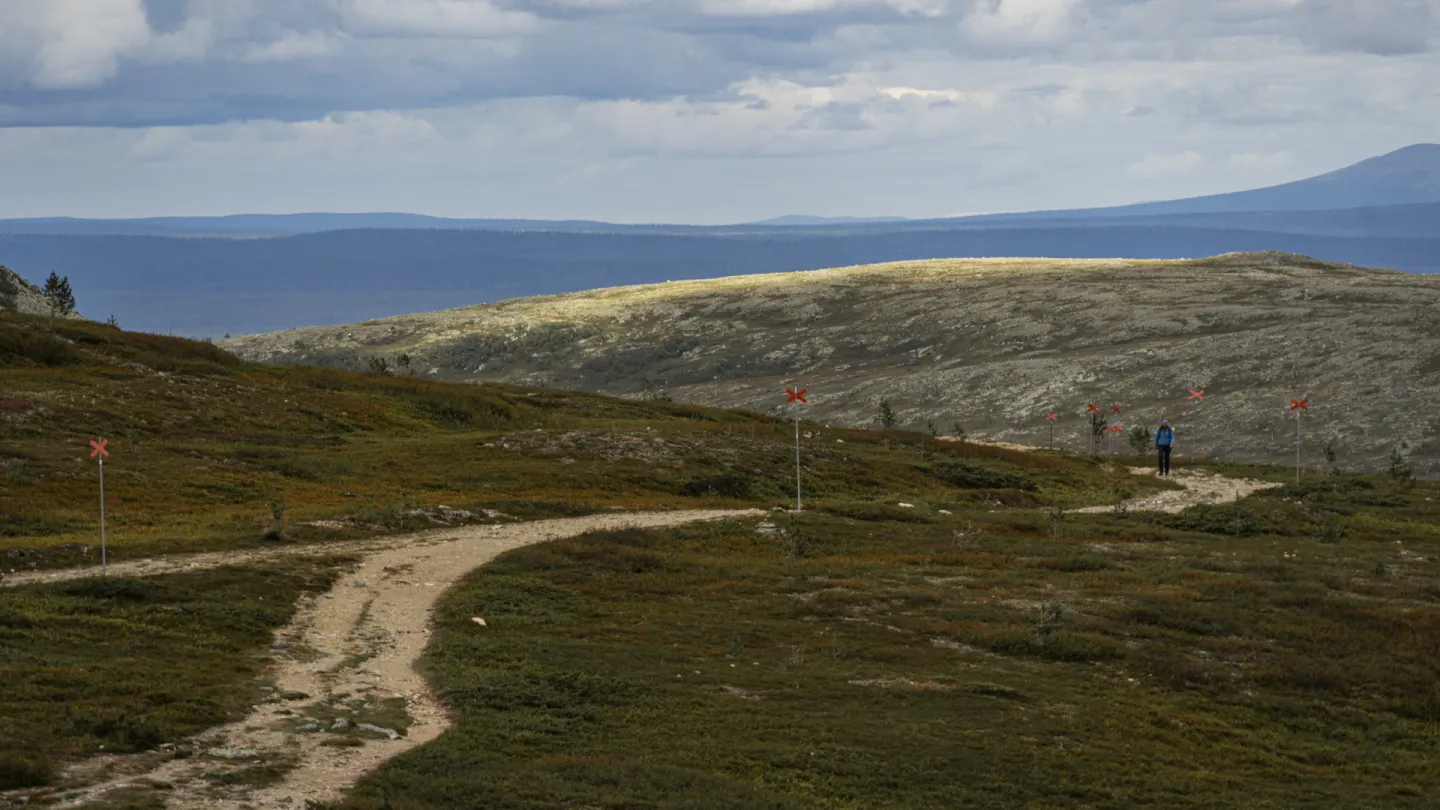 Vandringsled på Nipfjället i Idre