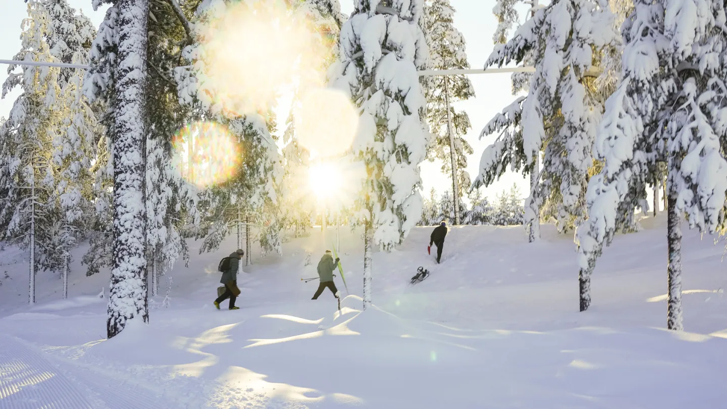 Winterview from Mora.