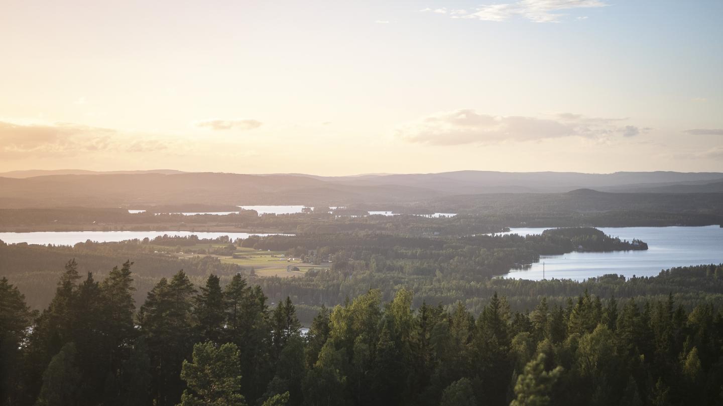 Utsikt från Rösåsens utsiktstorn.