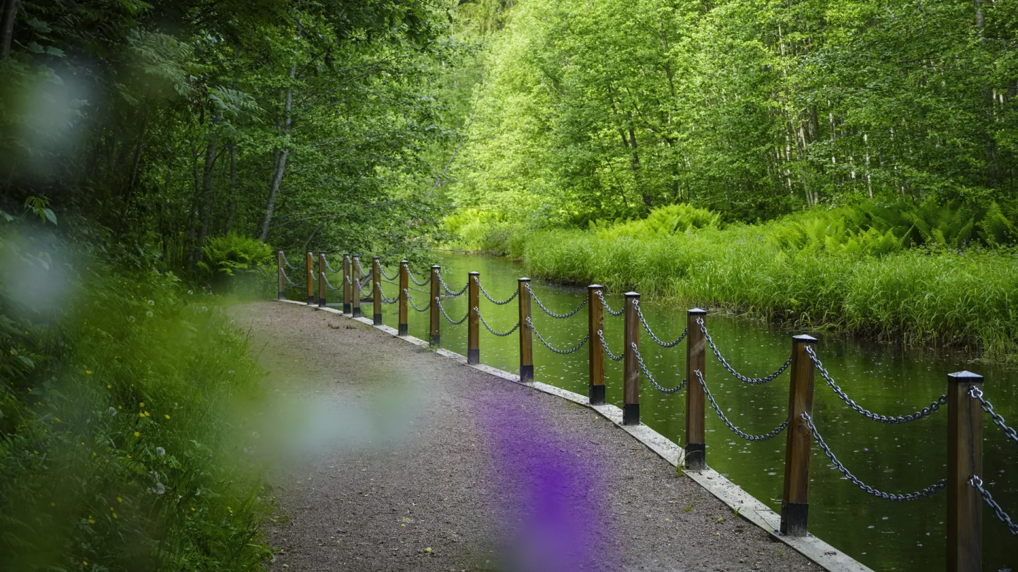 Grusgång vid en å.