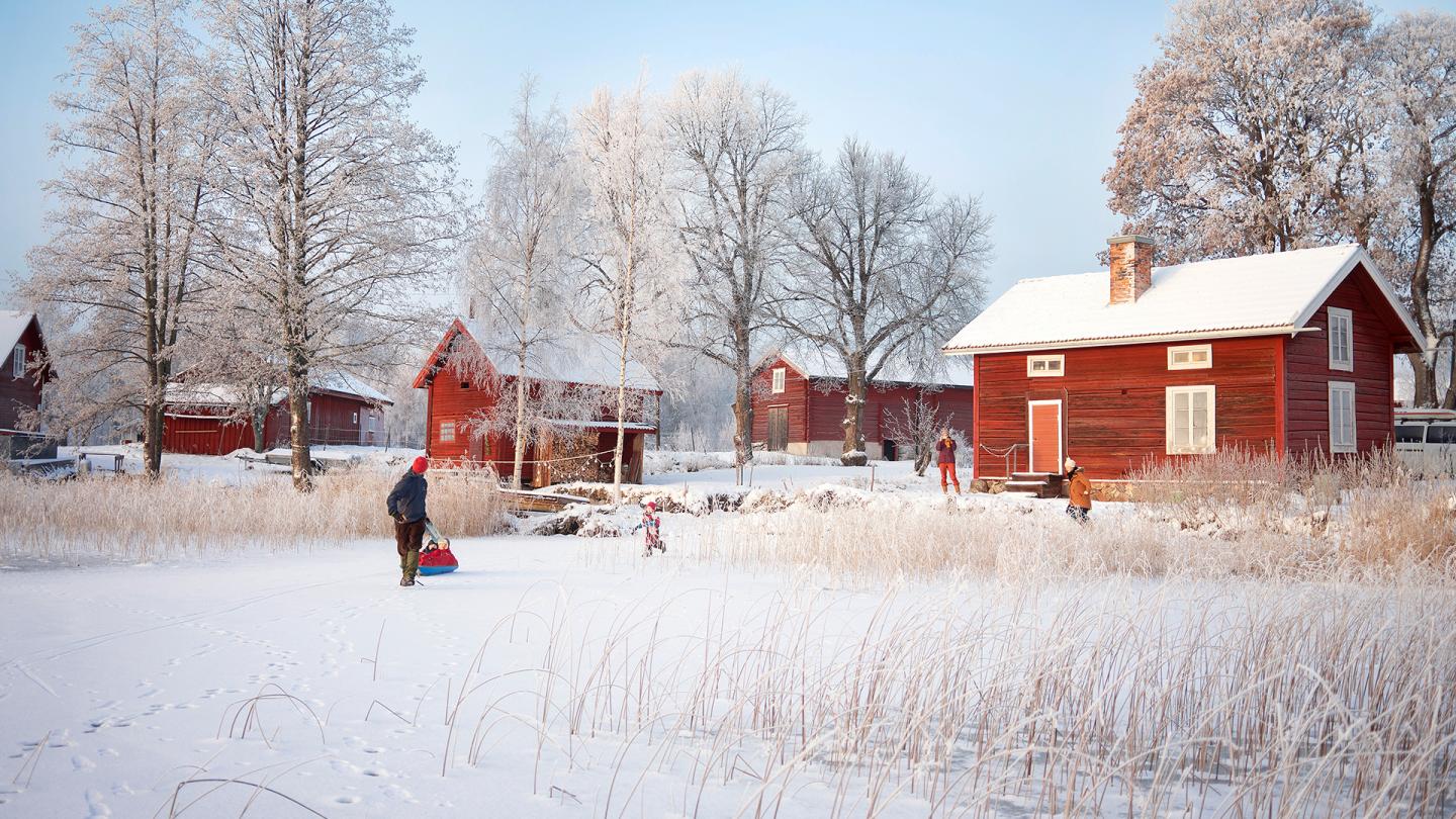 En familj leker med pulka på frusen sjö framför röda hus.