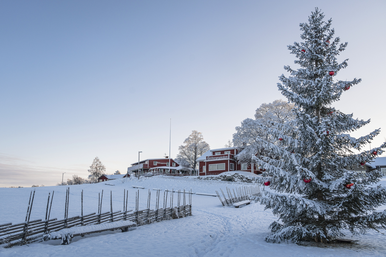 Julgran framför Tällbergsgårdens hotell i Tällberg.
