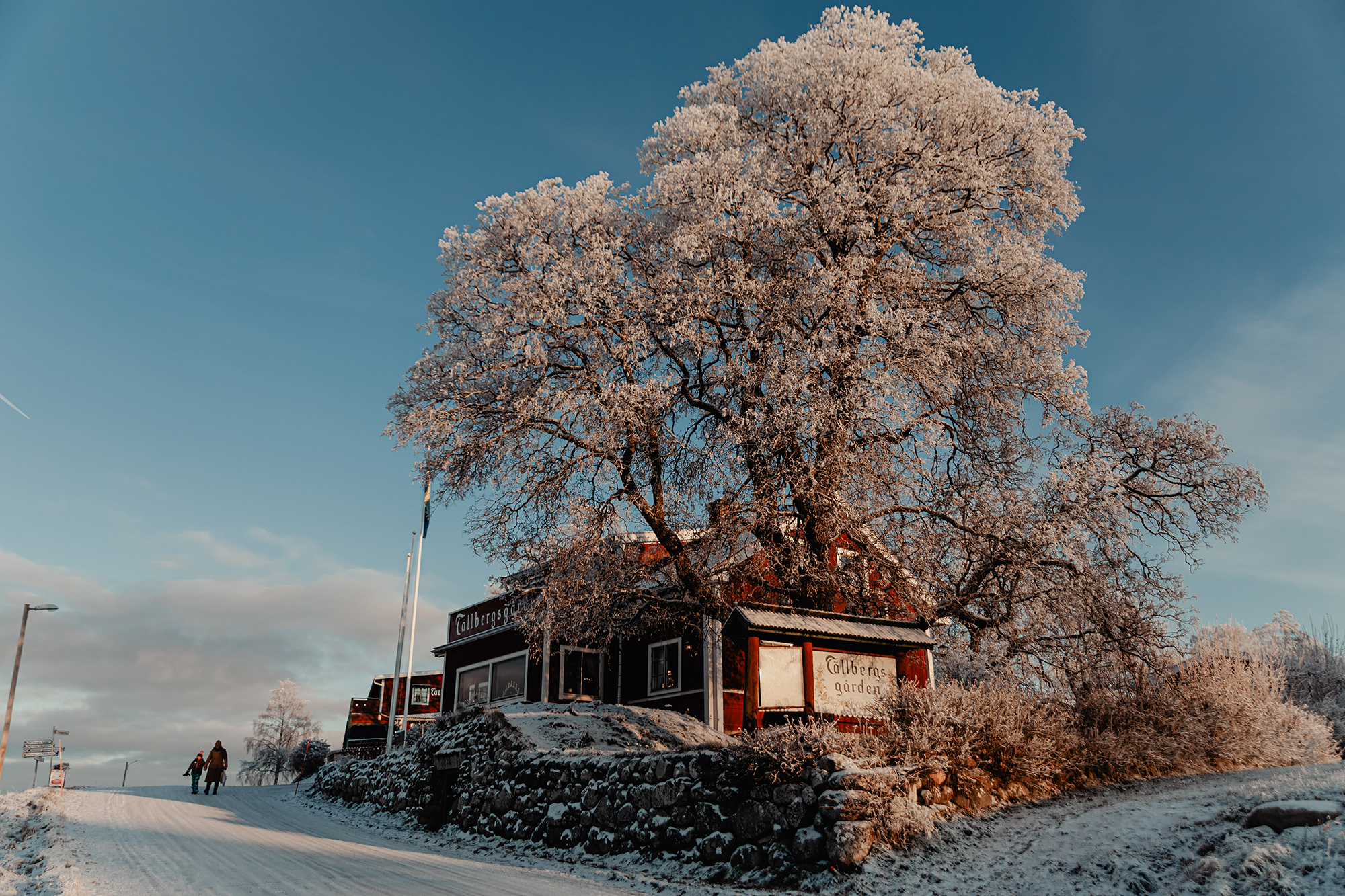 Blå himmel över ett rött hus och snöklädda träd och buskar runt om.